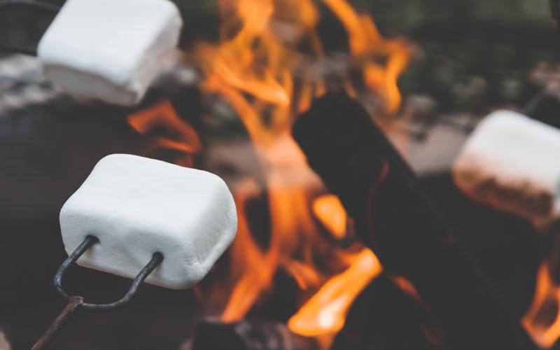 kampvuur kamperen marshmallows