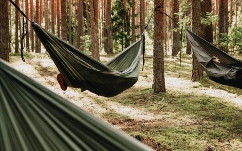 Hangmat ophangen met een boom