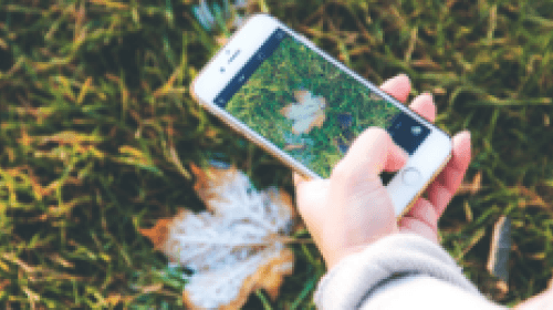 Smartphone nature app 